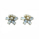 Butterfly Crystal Earrings